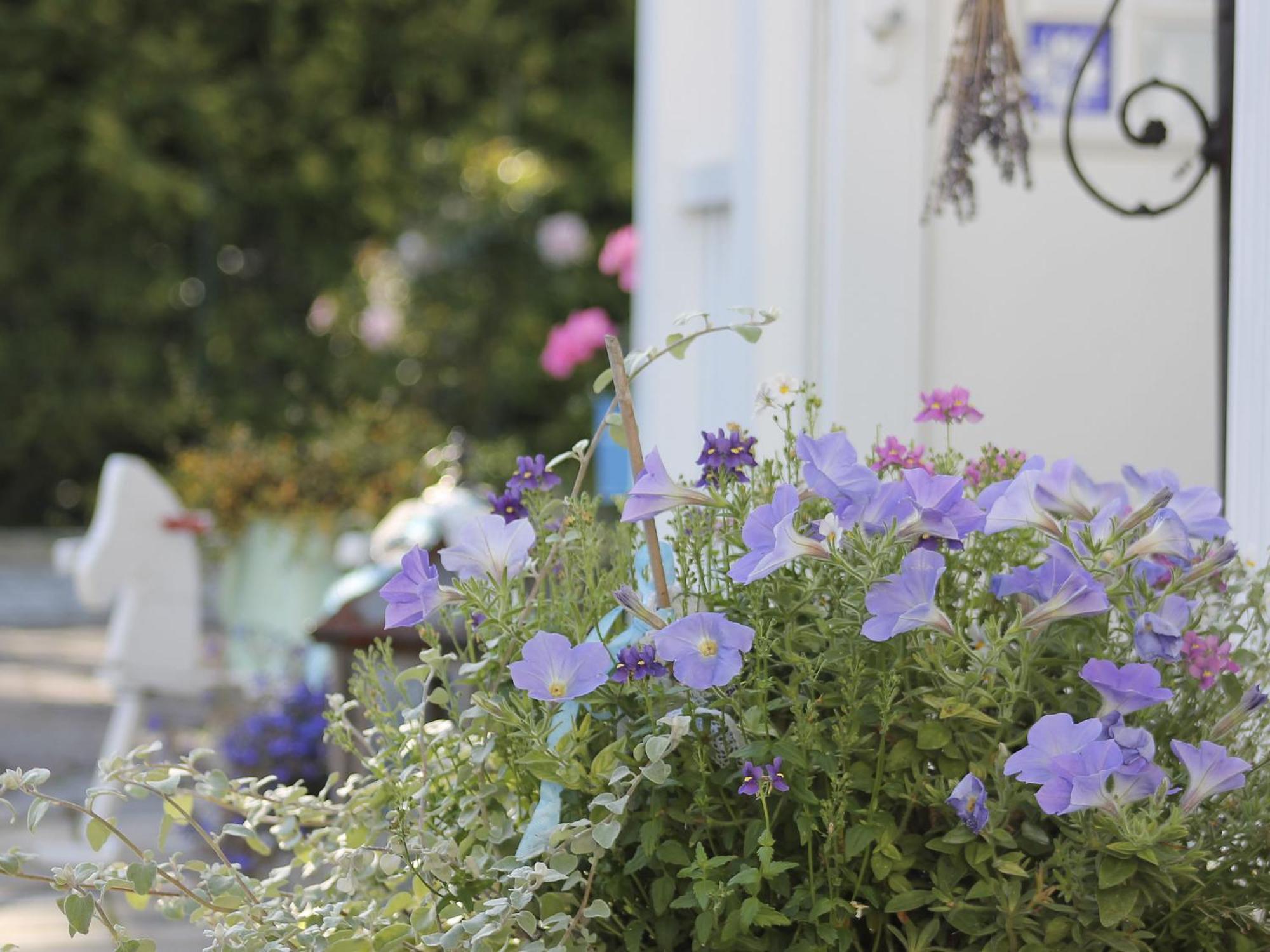 Haus Midsommer ทิมเมนดอร์เฟอร์ ชตรันด์ ภายนอก รูปภาพ