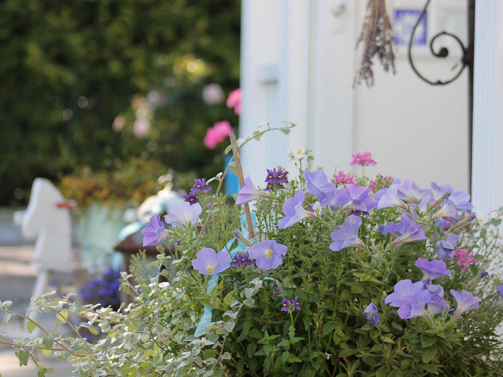 Haus Midsommer ทิมเมนดอร์เฟอร์ ชตรันด์ ห้อง รูปภาพ
